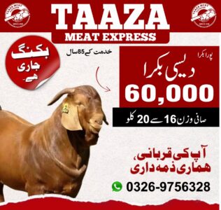 Qurbani 2025 with Taaza Meat Express: Purity at Your Doorstep